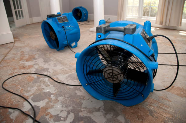 Best Basement water damage restoration  in State Line, PA