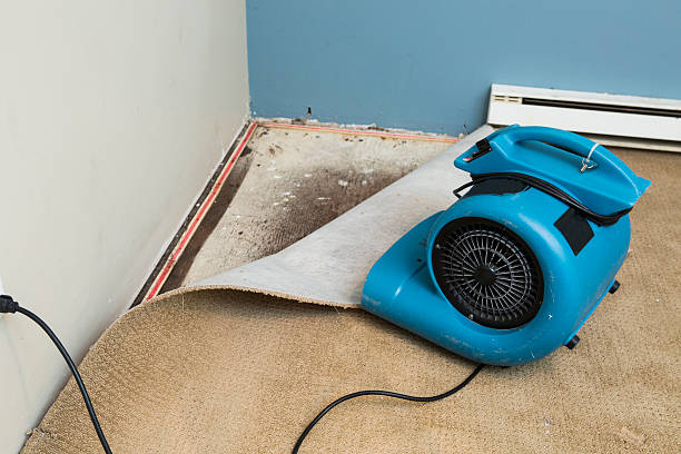 Best Water damage restoration near me  in State Line, PA